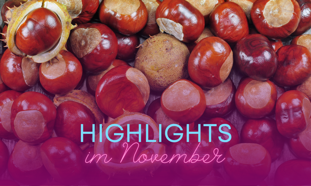 TV Highlights im November bei simpliTV